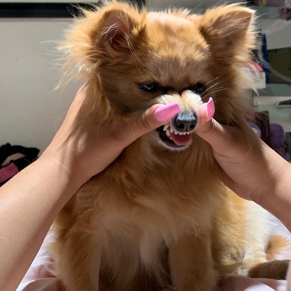 Meet Your Seller 💘🍭 - Picture 14 of 16